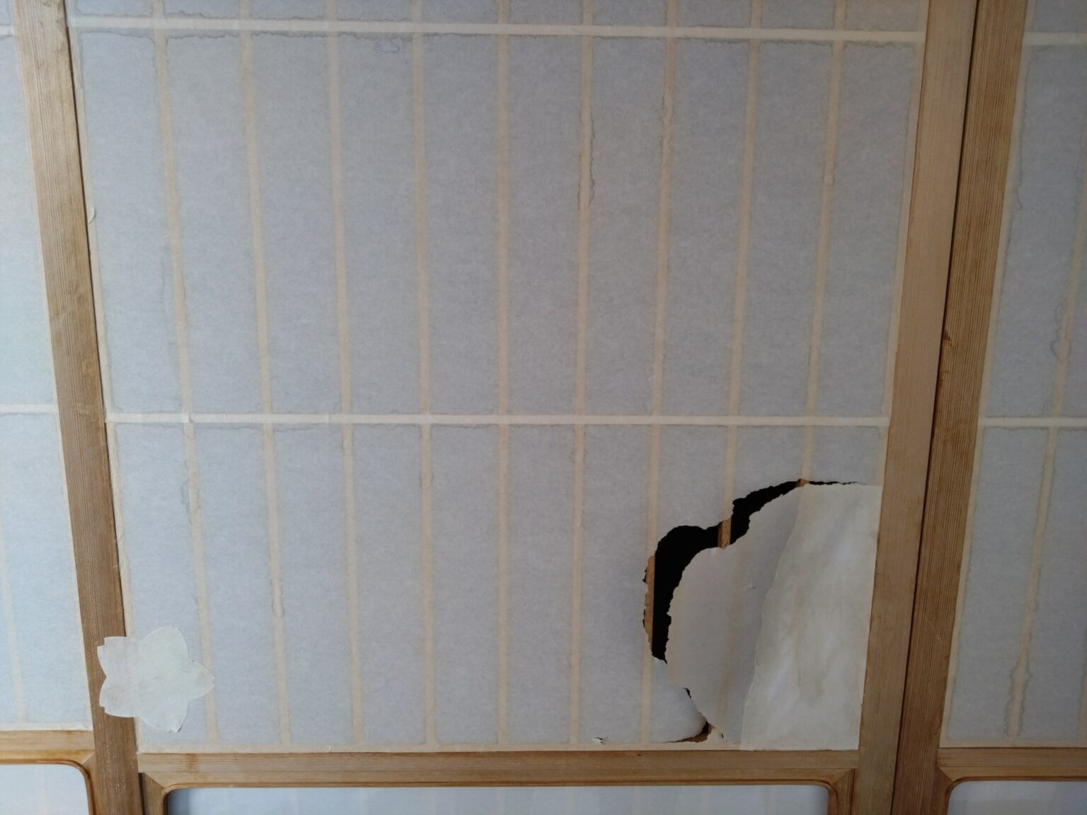 Kreatives Bild zu 【縦繁障子 – たてしげしょうじ – 】特徴や構造・張り替え方法までご紹介!横繁障子や他の障子とのとの違いも詳しく解説!! - 家美装 【縦繁障子 – たてしげしょうじ – 】特徴や構造・張り替え方法までご紹介!横繁障子や他の障子とのとの違いも詳しく解説!! - 家美装 Illustration